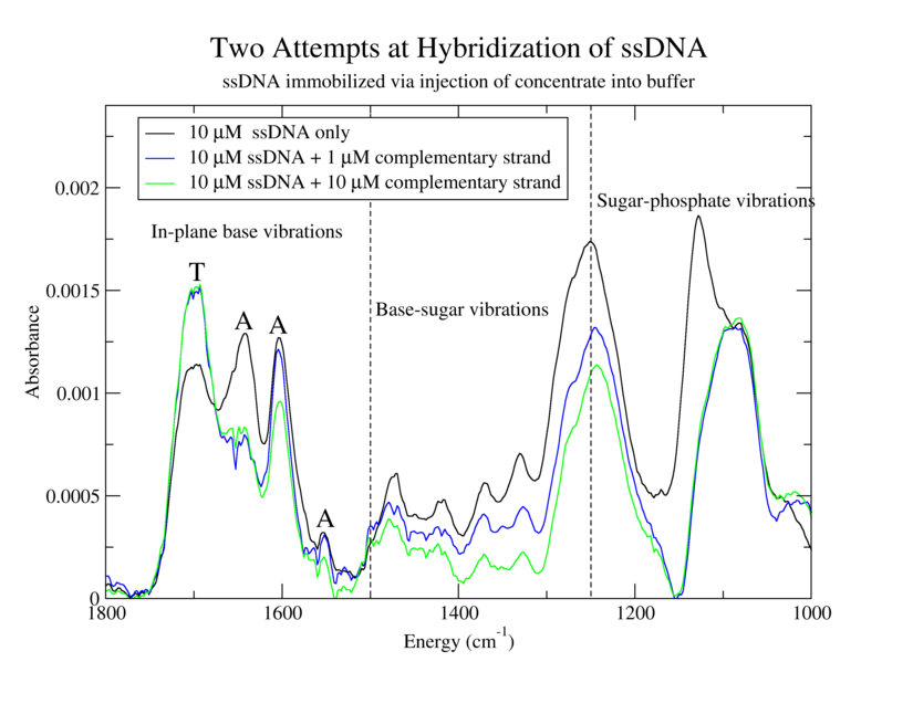 hybridization test